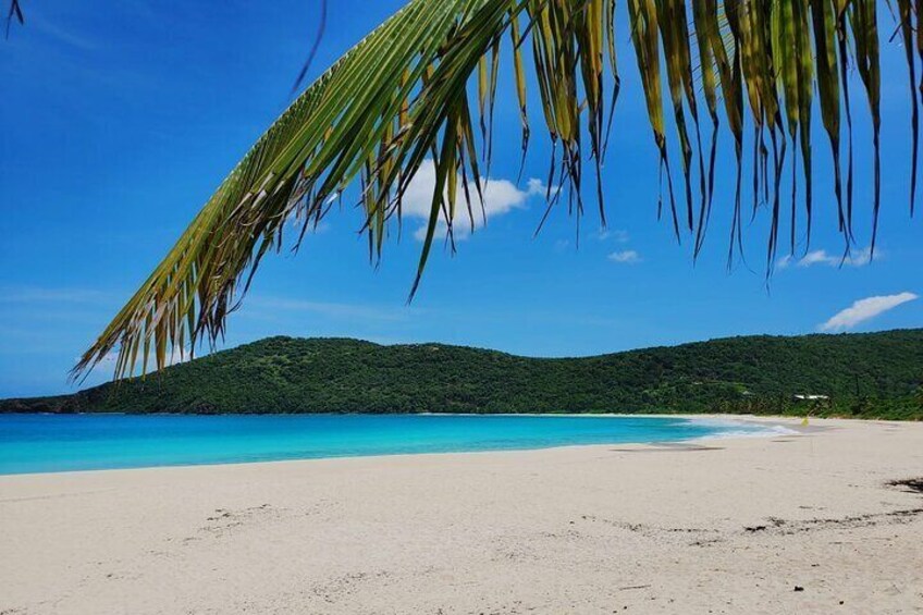 All Inclusive Culebra Island Day Trip with San Juan Transport
