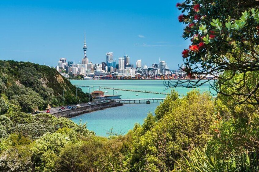 Auckland Scenic Vibrant Journey Through City of Sails