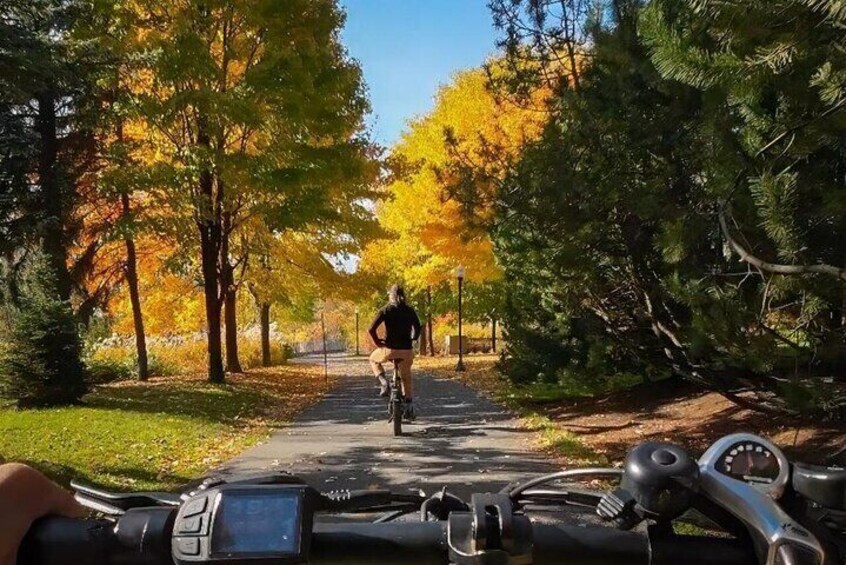 Quebec City Off the Beaten Path Bike Tour with Tastings 