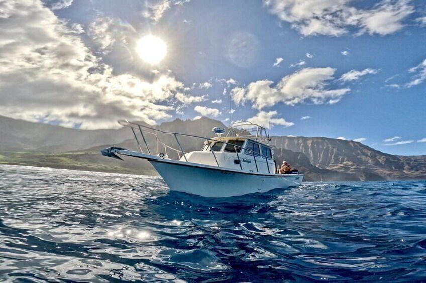 Private Whale Watch and Snorkel off Kaua'i