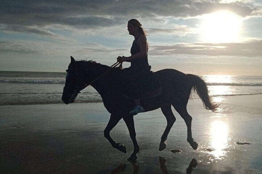 30 Minutes Horse Riding Seminyak Beach