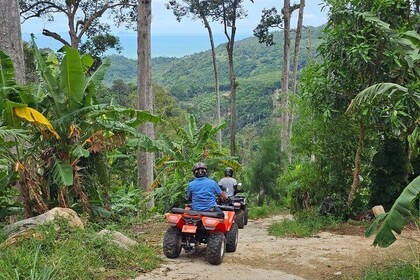 2 Hour PRIVATE ATV Quad Tour for 2-4 People (Jungle & Mountains)