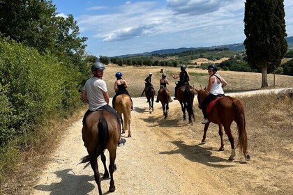 Horseback Ride in Leonardo da Vinci’s Land with Tuscan Lunch