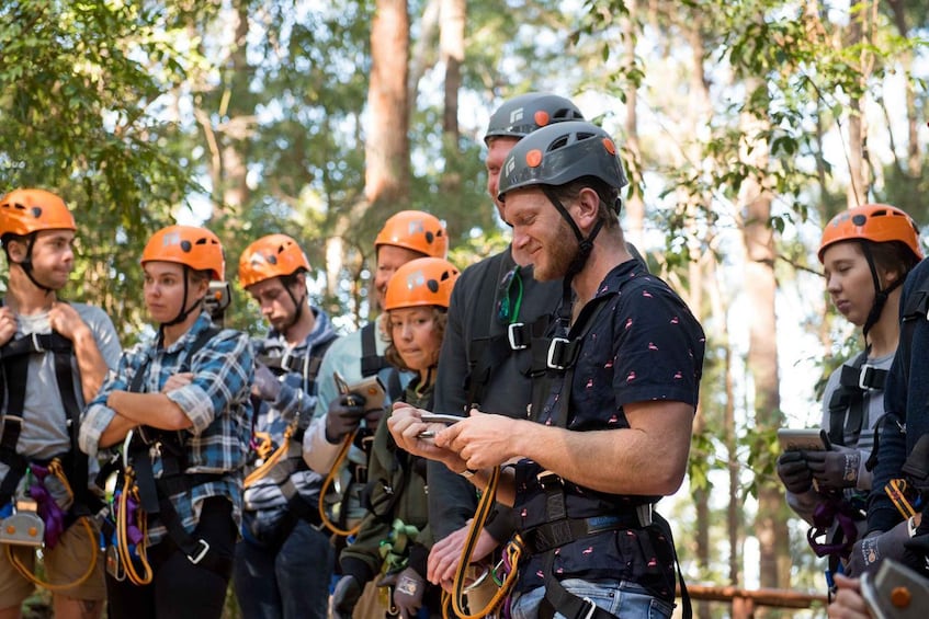 Picture 1 for Activity Coffs Harbour: Treetops Adventure Tree Ropes Course