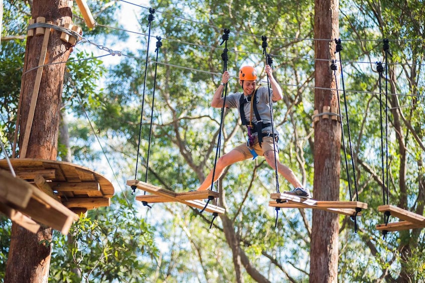 Coffs Harbour: Treetops Adventure Tree Ropes Course