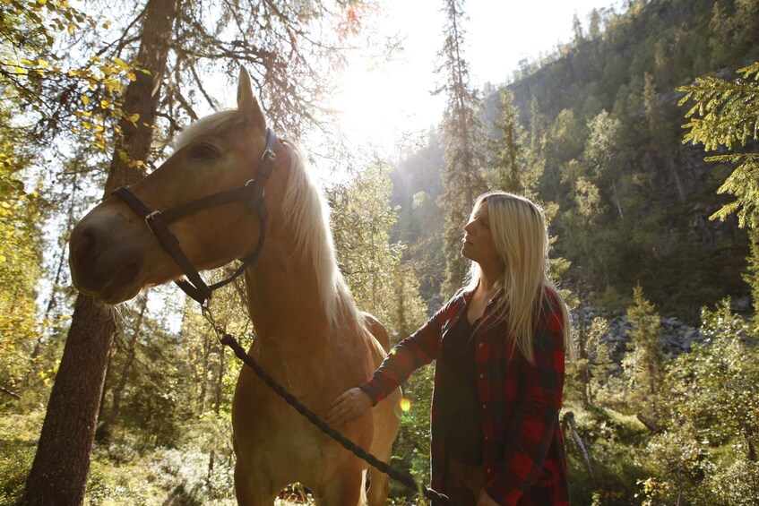 Picture 2 for Activity Levi: Horse Riding in the Finnish Forest