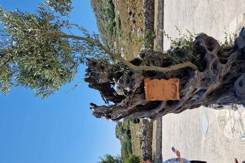 Mount Juktas, the observatory of CRETE ZEUS face mountain