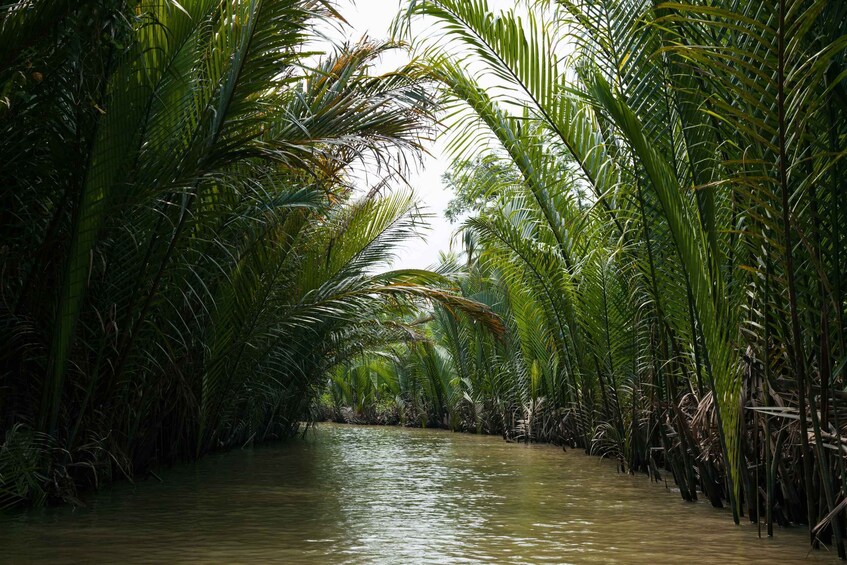 Picture 1 for Activity Full-Day Tour in Mekong Delta (Floating Market &Local Tour)