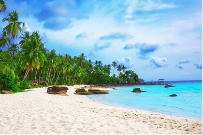 Excursión de día completo a Phu Quoc Río Cua Can