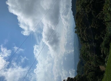 Guided Tour in the hanging bridges of Monteverde