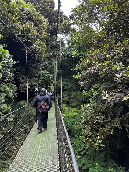 Picture 1 for Activity Guided Tour in the hanging bridges of Monteverde