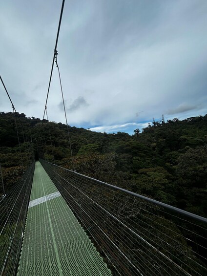 Picture 2 for Activity Guided Tour in the hanging bridges of Monteverde