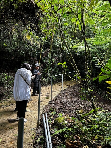 Picture 5 for Activity Guided Tour in the hanging bridges of Monteverde