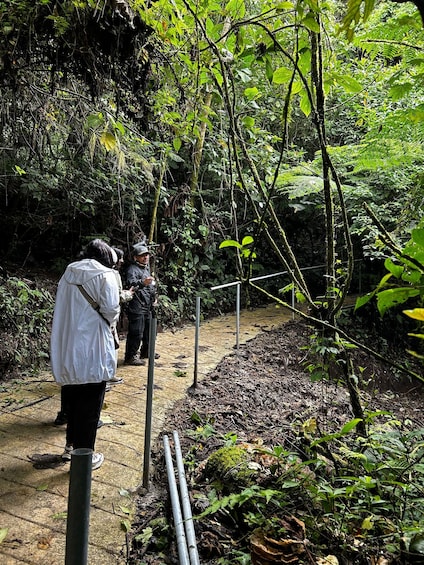 Picture 5 for Activity Guided Tour in the hanging bridges of Monteverde