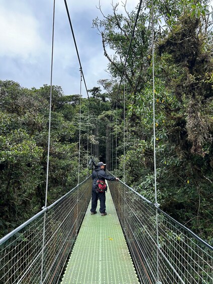 Guided Tour in the hanging bridges of Monteverde