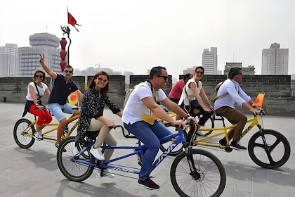 Private Full Day Xi'an Tour