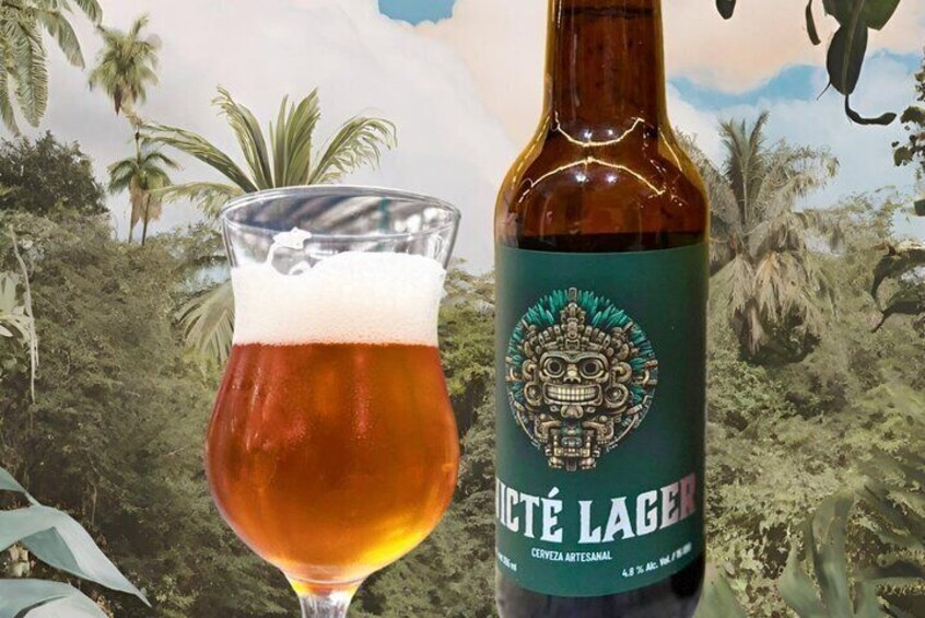 Brewery Tour and Beer Tasting | Tour y Degustación de Cerveza