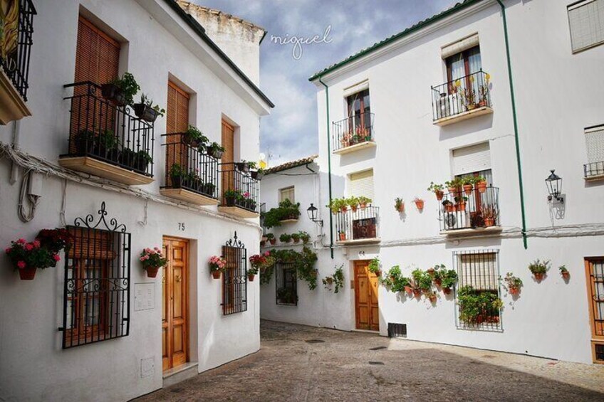 Cordoba White Villages Private Full Day Trip with Pick up