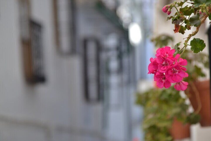 Cordoba White Villages Private Full Day Trip with Pick up