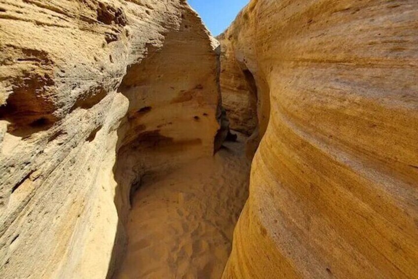 Sand Surfing Guided Experience and Visit of The Canyon