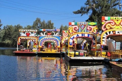 Tour Xochimilco, Cuicuilco and Anahuacalli Museum