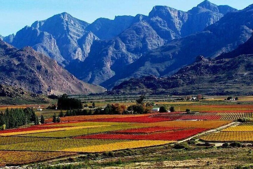 Cape Town Private Tour Robben Island and Constantia Wine Tasting