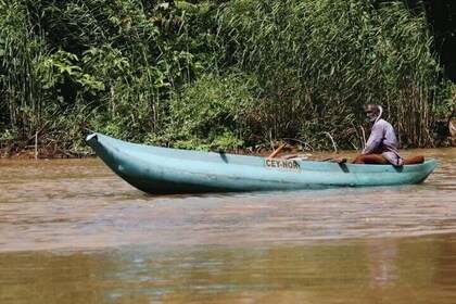 Nilwala River Crocodile Watching Adventure