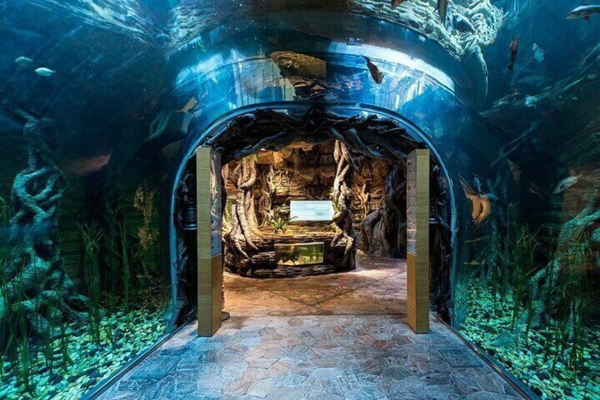 A perfect escape into nature for families, adventurers, and wildlife enthusiasts alike.