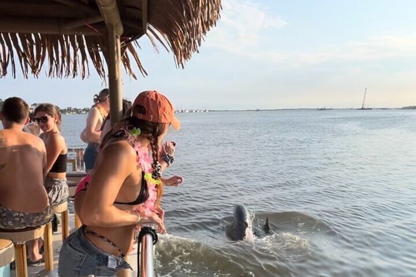 2-Hour Tiki Boat Tour in Folly Beach