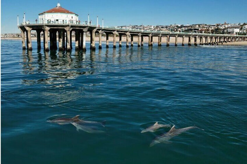 Huntington Beach Pier