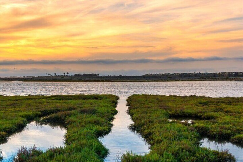 Bolsa Chica Wetlands