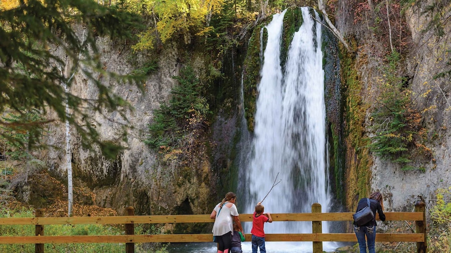 From Rapid City: Black Hills, Deadwood, and Lead Day Tour