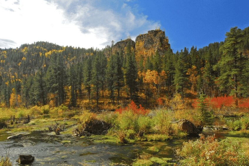 Picture 8 for Activity From Rapid City: Black Hills, Deadwood, and Lead Day Tour