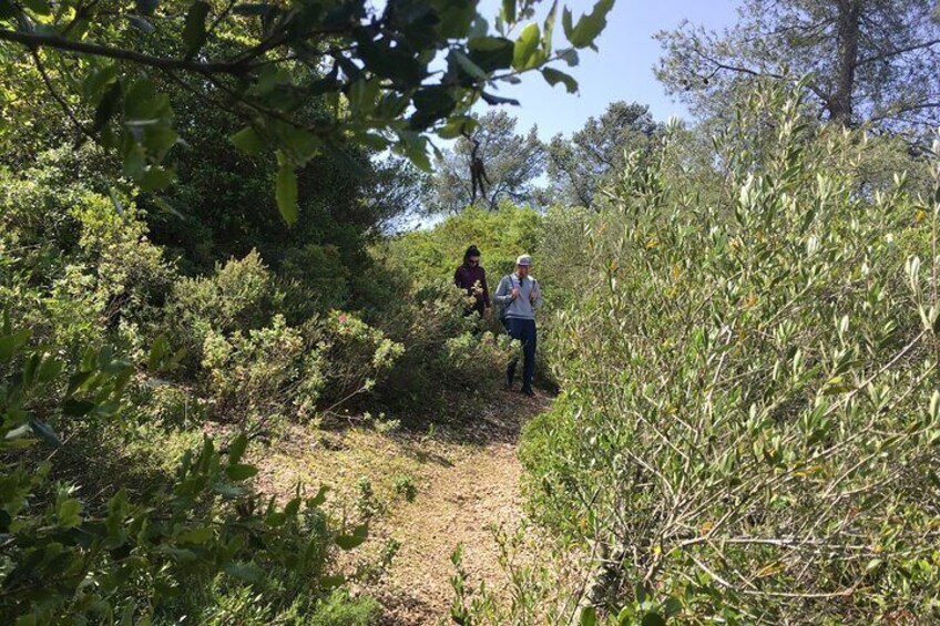 Private Hiking Adventure at Arrábida Mountain