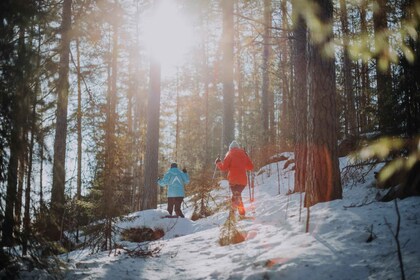 Lahti Guided Snowshoeing Tour