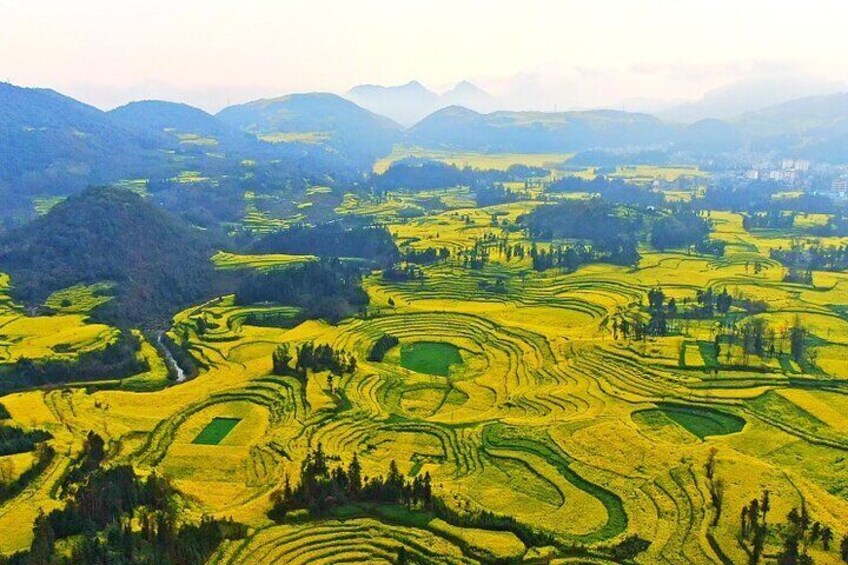 5 Days Luoping Golden Canola Flower Tour