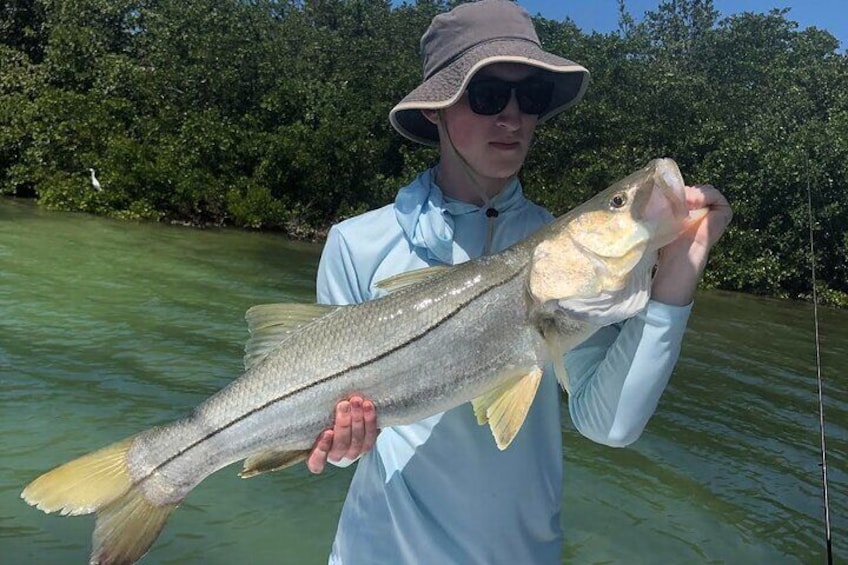 4 hour Inshore Tampa Bay Fishing Trip