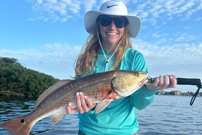 4 hour Inshore Tampa Bay Fishing Trip