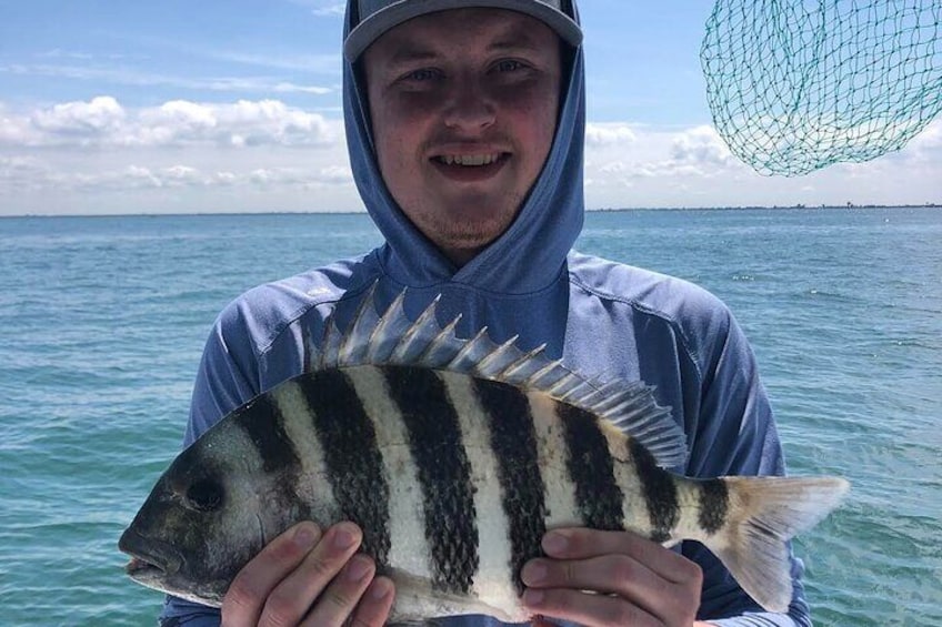 4 hour Inshore Tampa Bay Fishing Trip