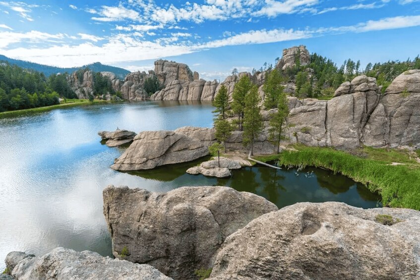 Picture 5 for Activity From Rapid City: Custer State Park and Needles Highway Tour