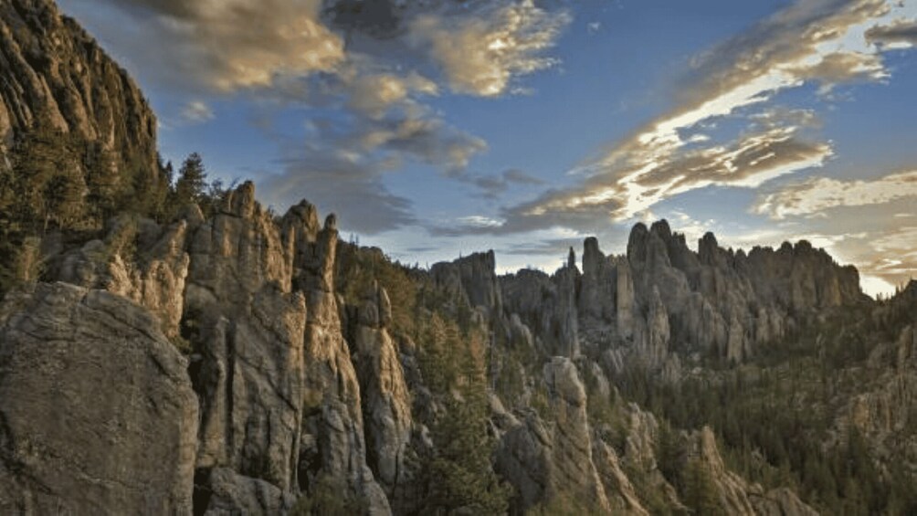 Picture 4 for Activity From Rapid City: Custer State Park and Needles Highway Tour