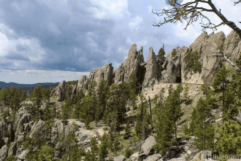 Picture 6 for Activity From Rapid City: Custer State Park and Needles Highway Tour