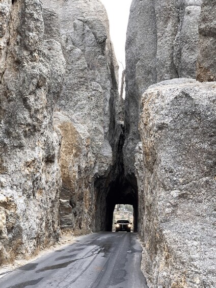 Picture 8 for Activity From Rapid City: Custer State Park and Needles Highway Tour