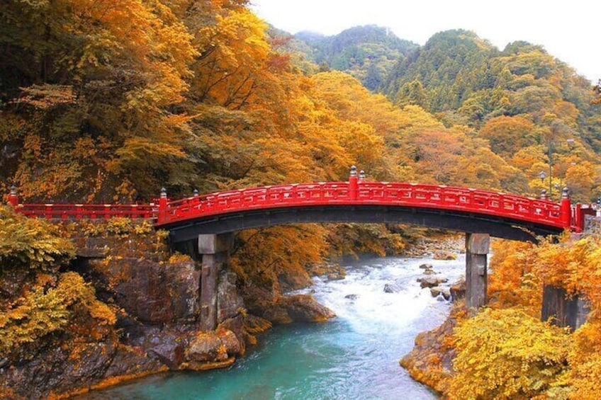 From Tokyo Private Trip to Nikko