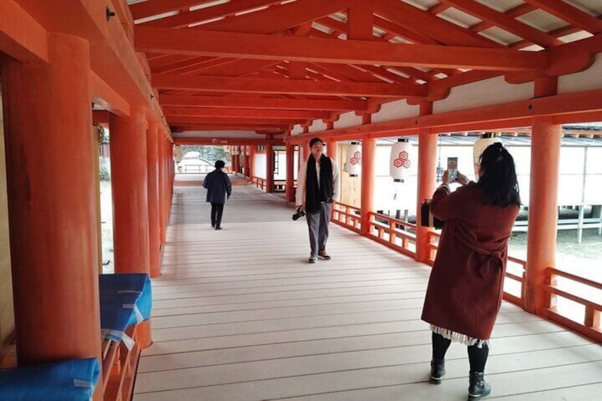 Itsukushima Shrine and Miyajima Summit 5hour Tour in Miyajima