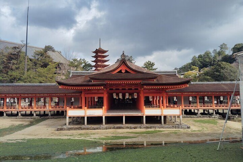 Itsukushima Shrine and Miyajima Summit 5hour Tour in Miyajima