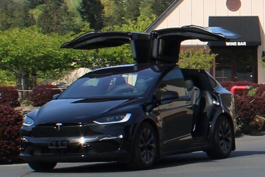 Excalibur features a brand-new Tesla Model-X with dual center Captain's Chairs.