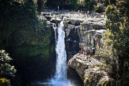 Ubud Waterfalls Private Tours with Hotel Pickup