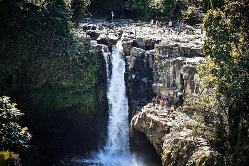 Ubud Waterfalls Private Tours with Hotel Pickup