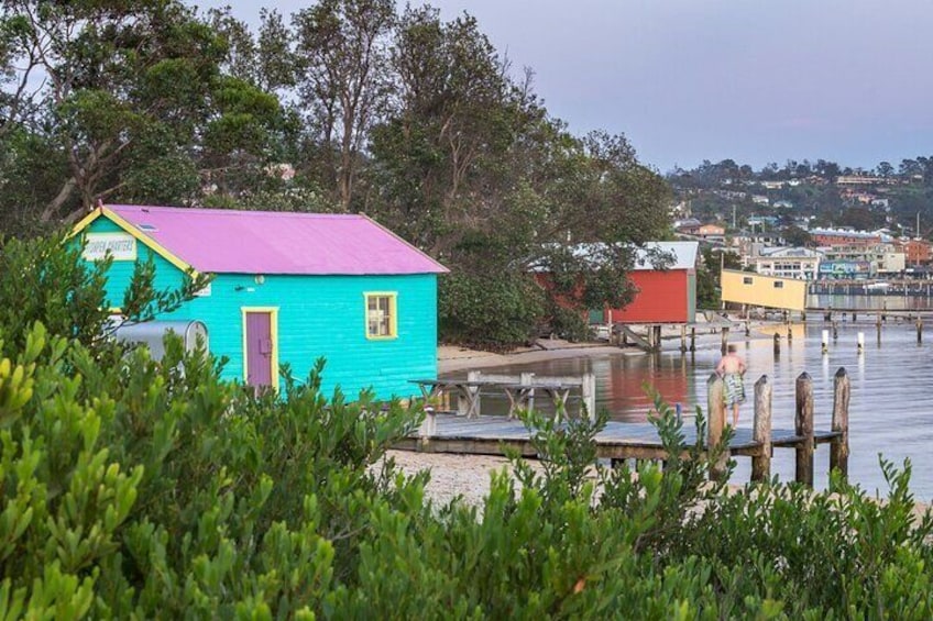 Tour from Eden to Merimbula Wetlands Wildlife and Coastline